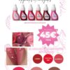 PACK PIGMENTOS HOMOLOGADOS MICROPIGMENTACIÓN LABIOS
